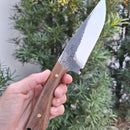 Skiner Carbono