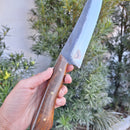 Pampeana Carbono