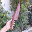 Pampeana Carbono